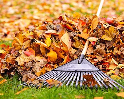 Spring & Fall Cleanups Service